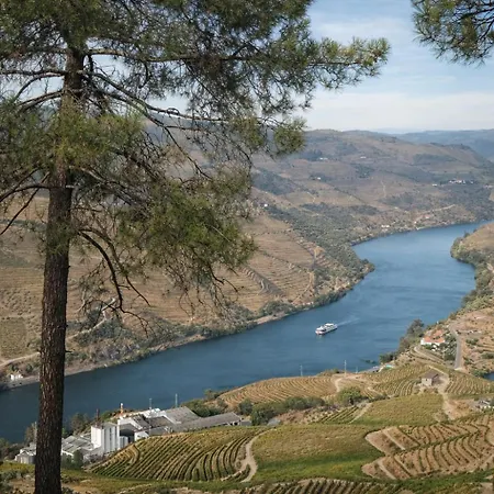 Bed & Breakfast Panorama Douro House